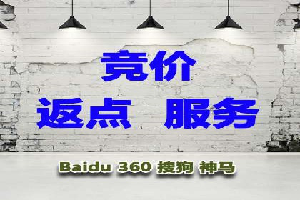 百度推广案例：精准广告投放策略解析